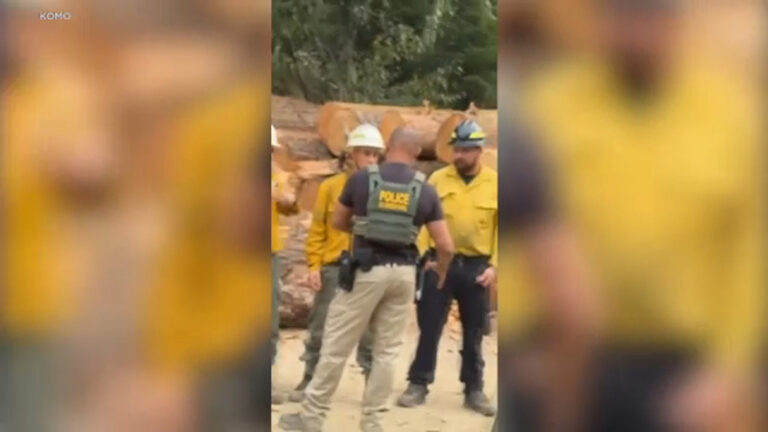 17679845_wa-fire-arrests-img.jpg