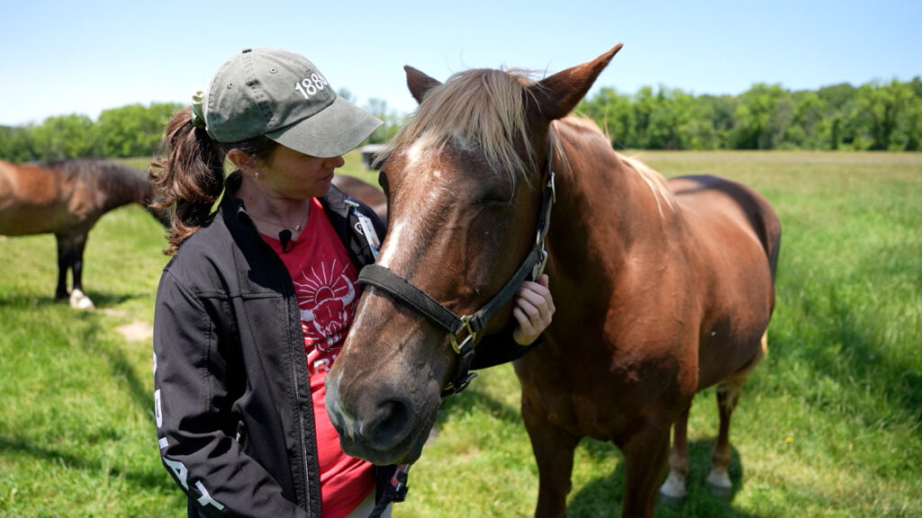 17645693_082525-localish-PET8929-RYERSSFARM-WPVI-vid.jpg