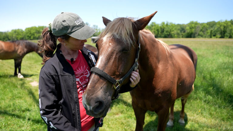 17645693_082525-localish-PET8929-RYERSSFARM-WPVI-vid.jpg