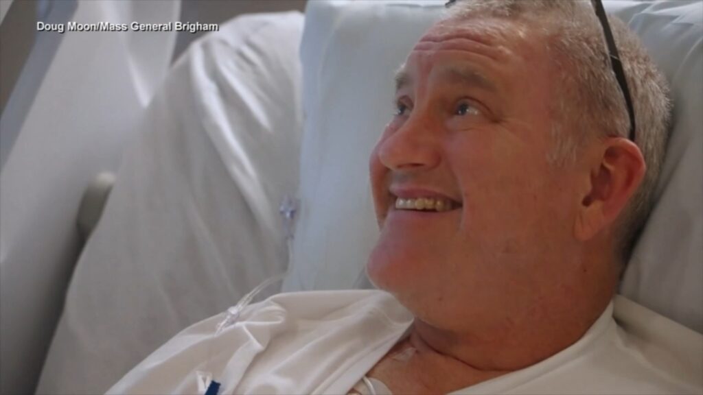 17779079_090925-wls-pig-kidney-n1-vid.jpg