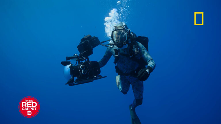 17844289_091825-otrc-dolphinsbertie-img.jpg