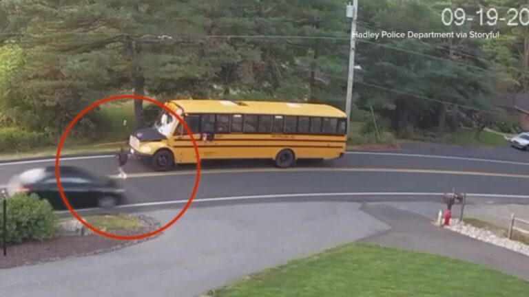 17861518_storyful-bus-car-circle-TN-img.jpg