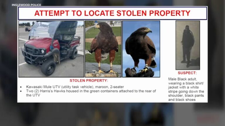 17906942_092925-kabc-sofi-stolen-birds-tn-img.jpg