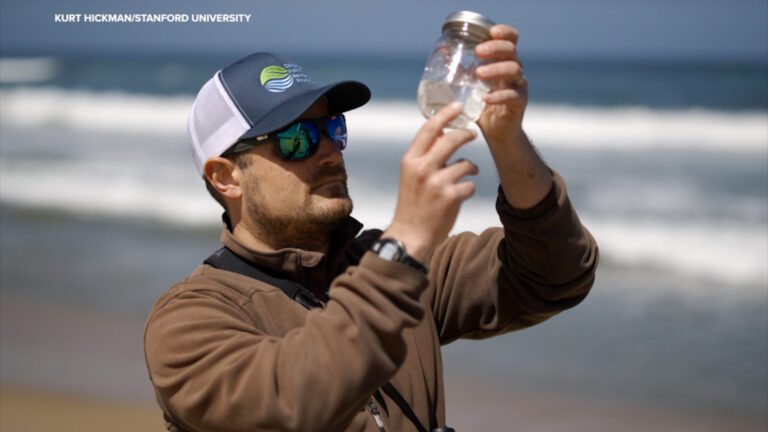 18026419_DIDIT001_Stanford_MicroplasticsWEB.jpg