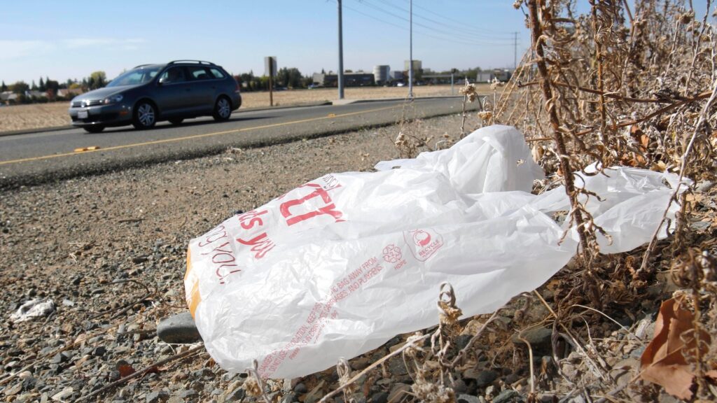 18033656_101825-kabc-ap-plastic-bag.jpg