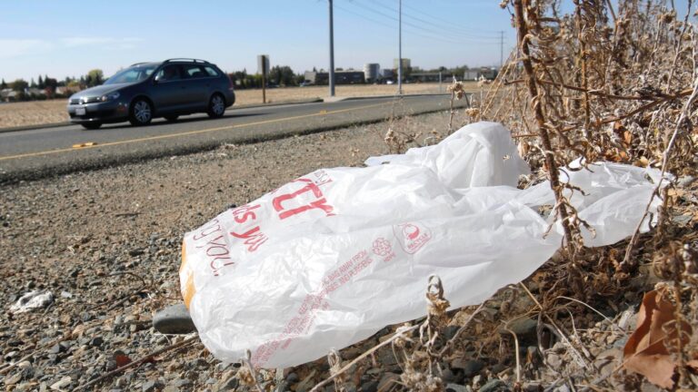 18033656_101825-kabc-ap-plastic-bag.jpg