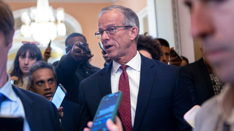 18049819_102125-cc-ap-thune-img.jpg