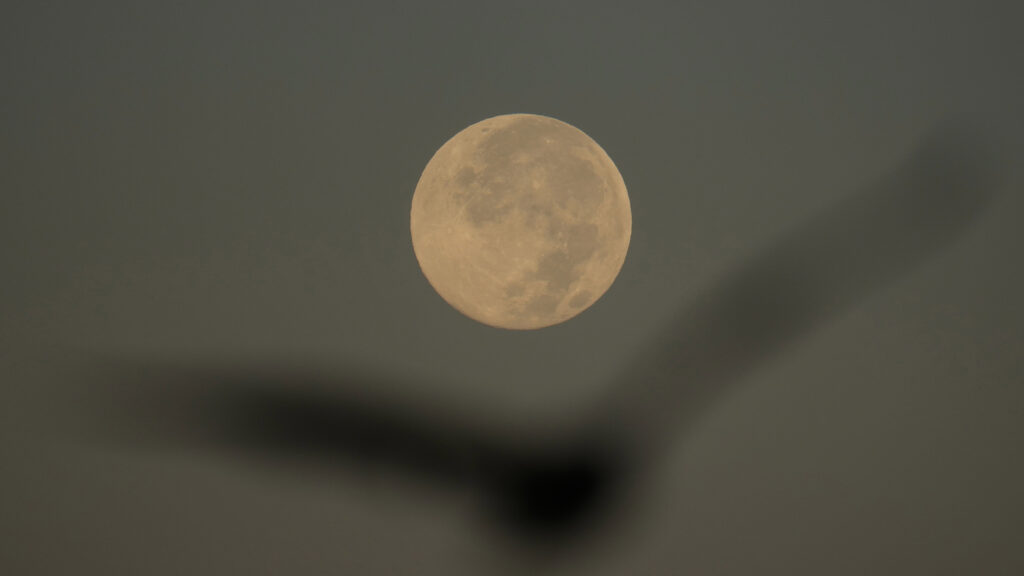 18108863_110325-CC-AP-SUPERMOON-IMG.jpg