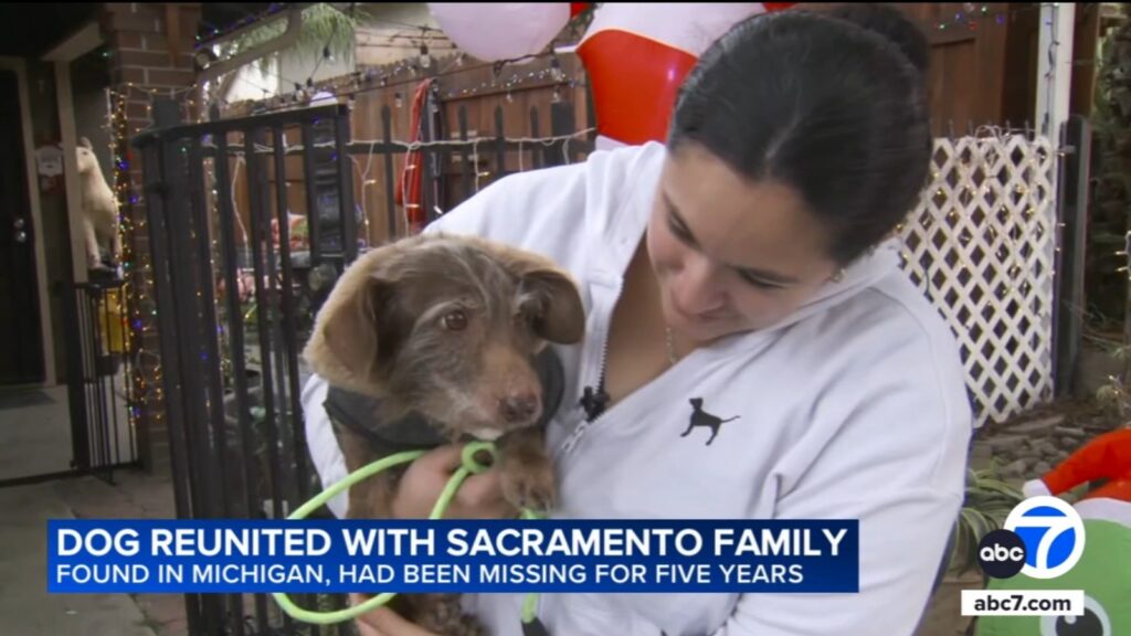 18264603_120625-kabc-8am-ca-missing-dog-found-vid.jpg