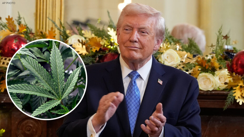 18295685_121725-kgo-trump-marijuana-tn.jpg