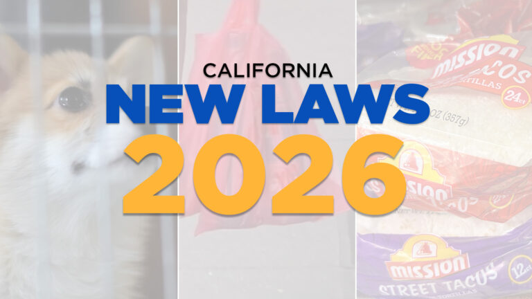18295697_2026_NEW_CA_LAWS_THUMB-IMG.jpg