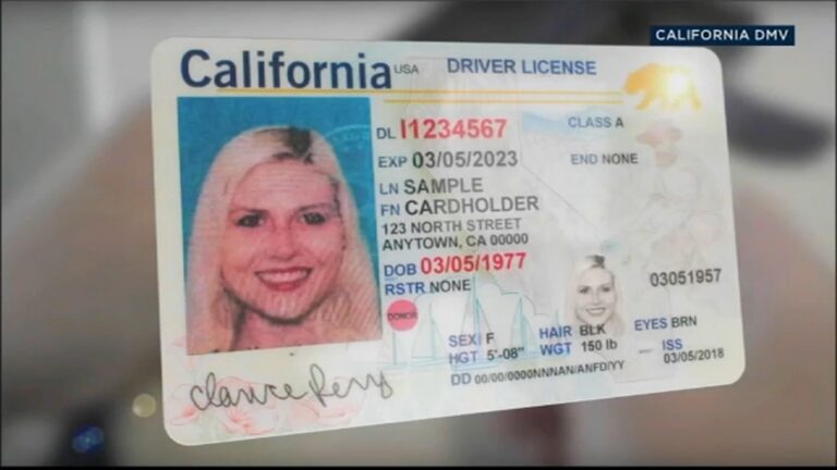 18340821_010126-kabc-dmv-real-id-error-tn-img.jpg